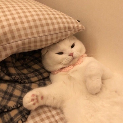 换灯泡要收240元？